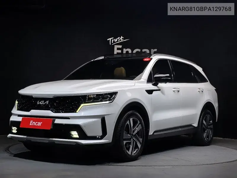 Купить Kia Sorento б/у на заказ в Амурске из Кореи с аукциона без